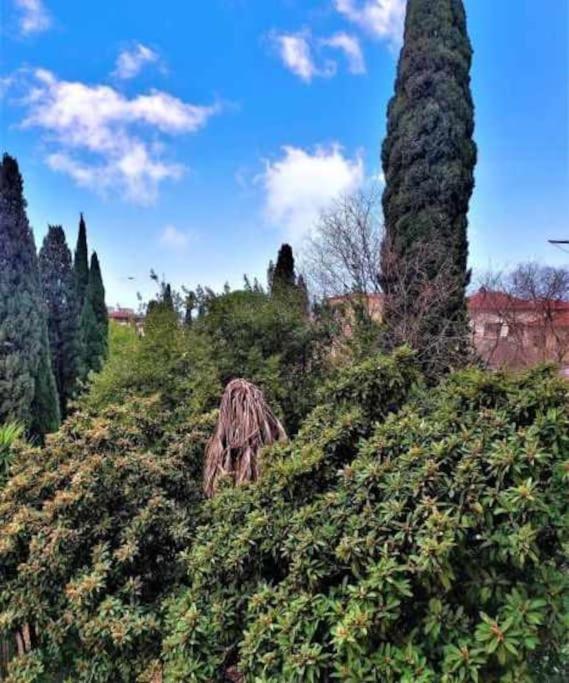 Casa Raffaello Careggi Apartment Florence Exterior photo